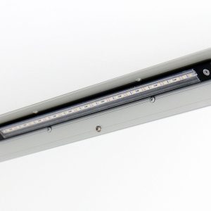 Variant Kofferanhänger Black Edition 148x258cm H:157 1,35t | Rampe – Bild 8